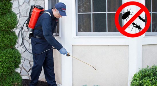 Dinar Fare İlaçlama böcek ilaçlama ve haşere kontrolü — ilaclama-tr.com